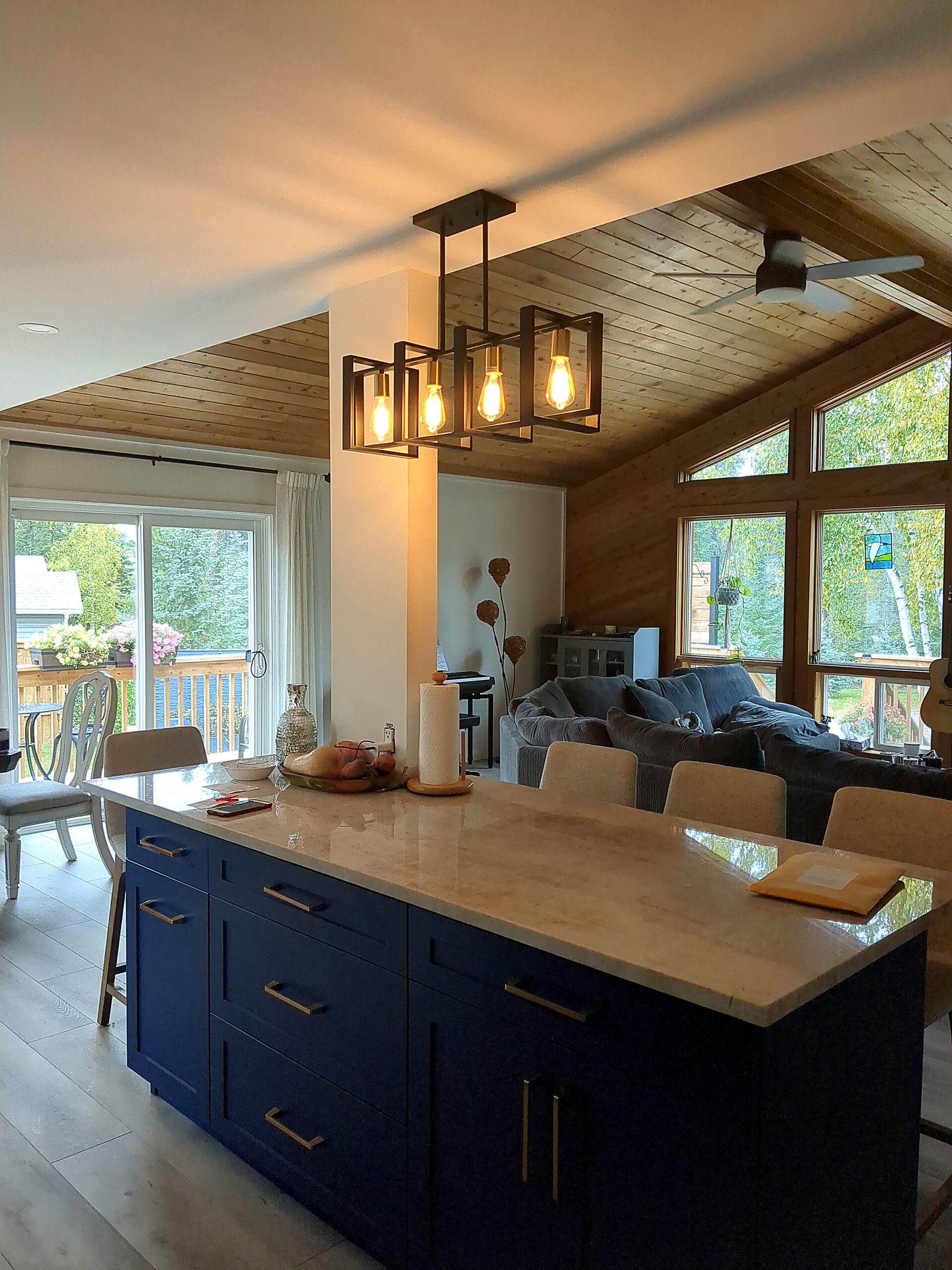 Blue Island Cabinet Open to Living Area